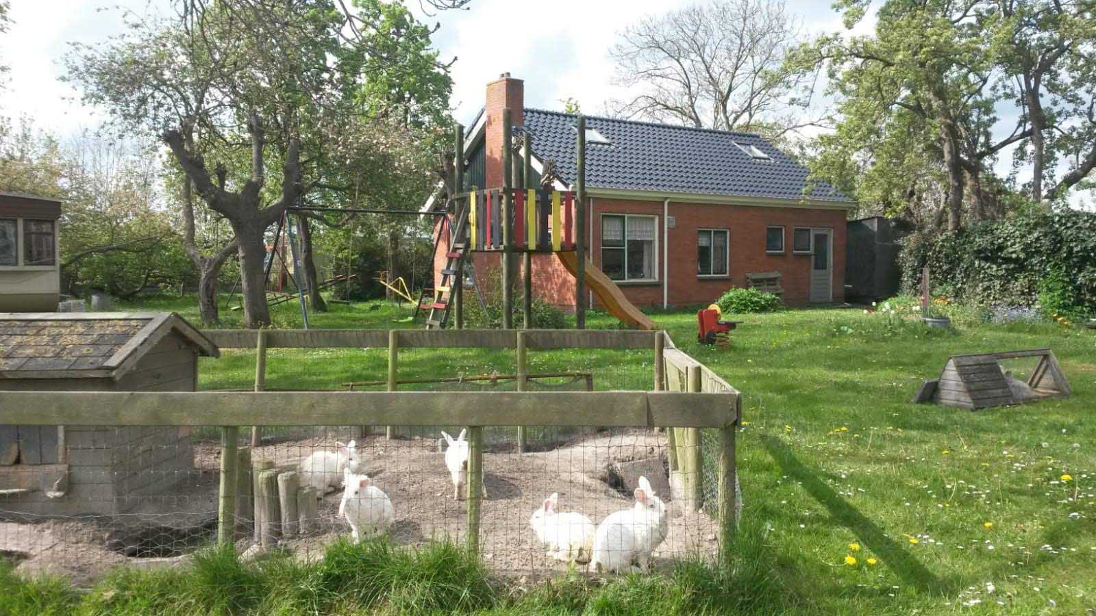 De konijnen op het erf
